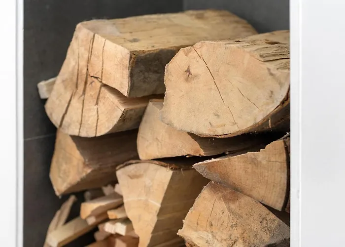 דירה Scandinavia זקופאנה